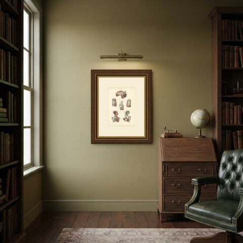 Nerves of the Joints, Antique Hirschfeld Anatomy Print, 1866, shown framed in a room