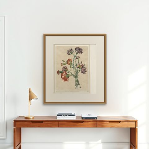 Antique Botanical Print of Carnations by Jean-Louis Prévost, 1805, shown framed on a wall