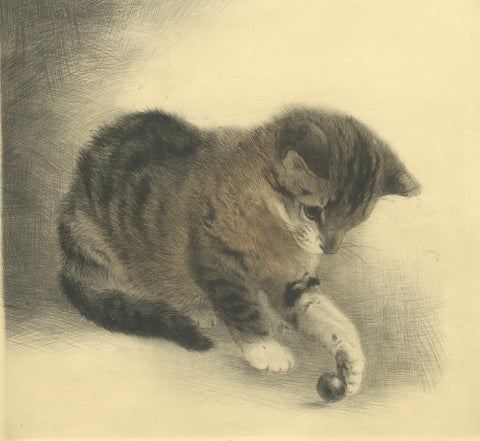 Kitten Playing with a Marble, Etching by Kurt Meyer-Eberhardt, 1977 Estate, close-up 5