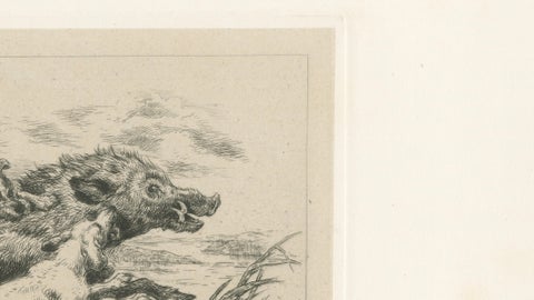 Dogs Attacking a Wild Boar, Dramatic Sporting Etching by J.F. Tayler, 1872, close-up 4