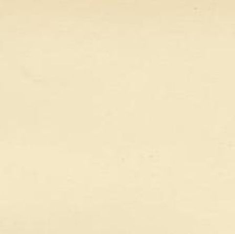 Decorative Antique Bird Print of the Meadow Pipit, 1927, close-up 1
