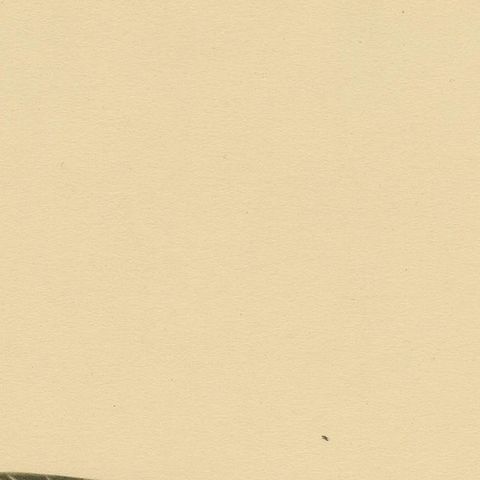 Autumn Repose: Old Bird Print of The Eurasian Wigeon by Magnus von Wright, 1929, close-up 3