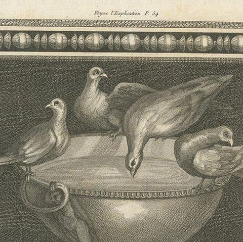 Antique Print of Birds and a Birdbath, circa 1820, close-up 1