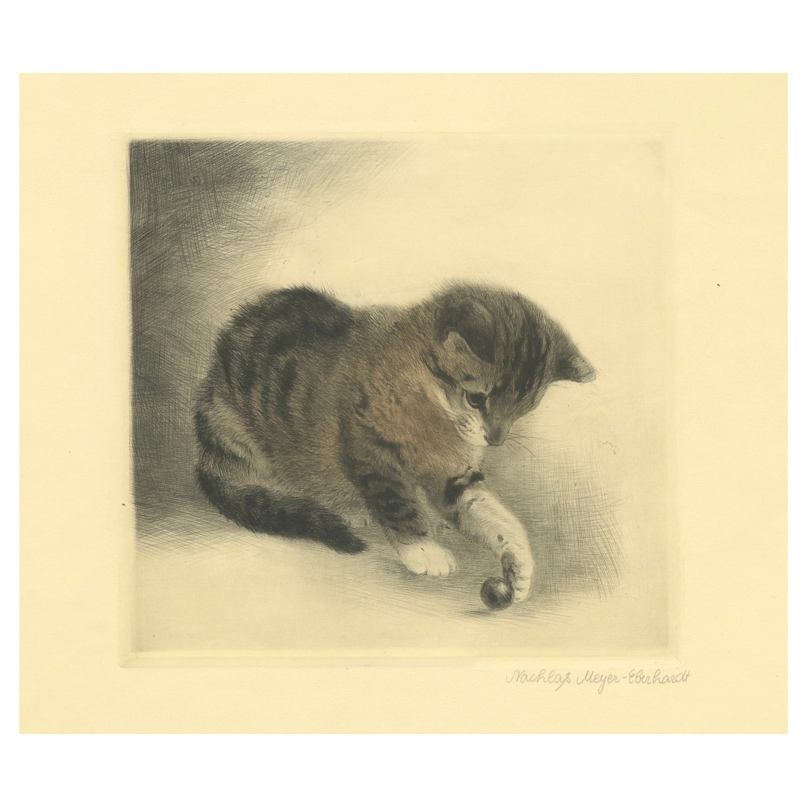 Kitten Playing with a Marble, Etching by Kurt Meyer-Eberhardt, 1977 Estate