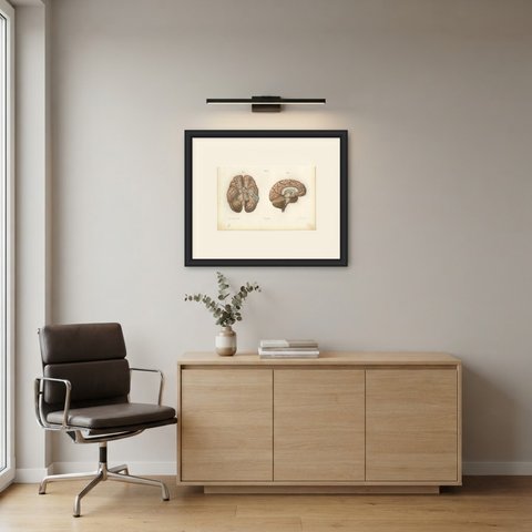 Arteries of the Brain, Antique Hirschfeld Anatomy Print, 1866, shown framed in a room