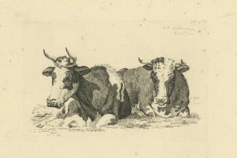 Tranquil Pastoral Scene with Two Resting Cows, by Anthony Oberman in 1810, close-up 5