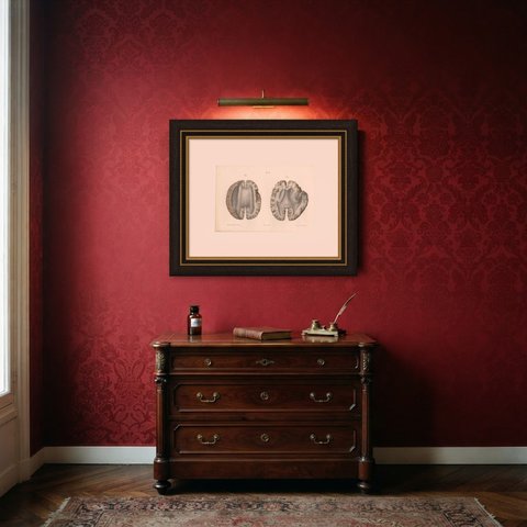 Horizontal Sections of the Cerebrum, Antique Hirschfeld Anatomy Print, 1866, shown framed in a room