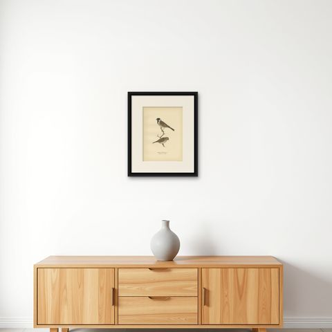 Antique Bird Print of the Common Reed Bunting by Von Wright, 1927, shown framed on a wall