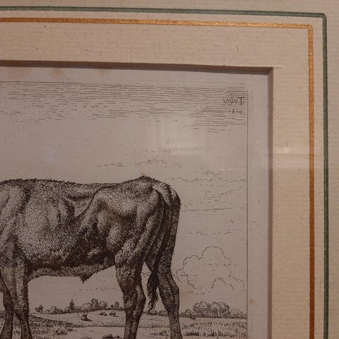 Antique Etching of a Grazing Cow by Van Troostwijk, Framed, 1810, view 4