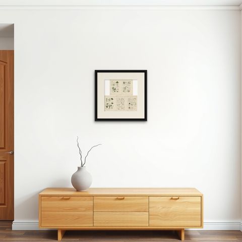 Set of 5 Antique Mycology Prints of Various Fungi, 1875, shown framed on a wall