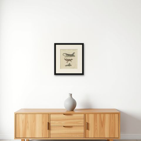 Monitor, Basilisk and Flying Dragon, Antique Bertuch Print, Vienna, circa 1805, shown framed on a wall