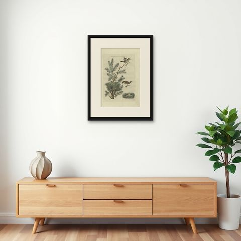 Antique Bird Print of the Eurasian Wren by Sepp & Nozeman, 1789, shown framed on a wall