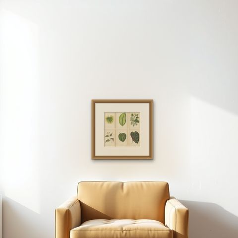 Set of 6 Botany Prints - Alocasia Metallica - Echites Nutans (1891), shown framed on a wall