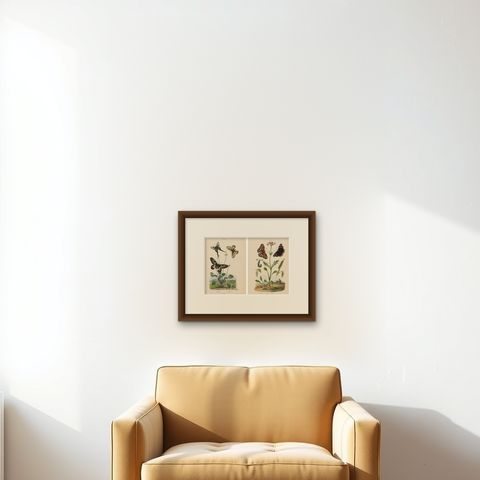 Pair of French Butterfly Engravings with Caterpillars by E. Guérin, 1835, shown framed on a wall