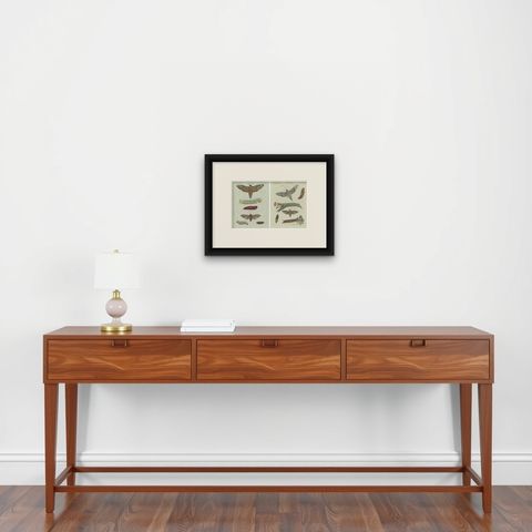 Unique Entomology Study - Hand-Colored Butterfly Prints Published in ca.1780, shown framed on a wall