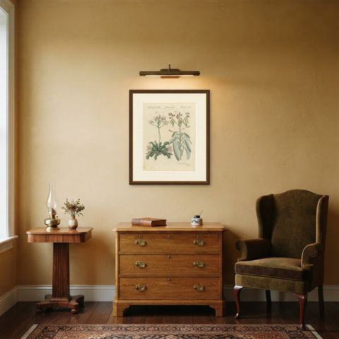 Venus Flytrap Carnivorous Plant, Antique Bertuch Print, circa 1805, shown framed in a room