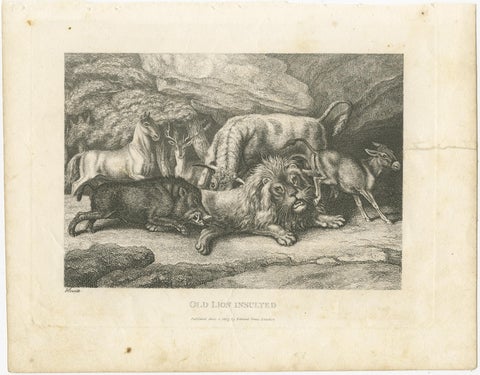 Original Antique Print of Old Lion Insulted, view 2