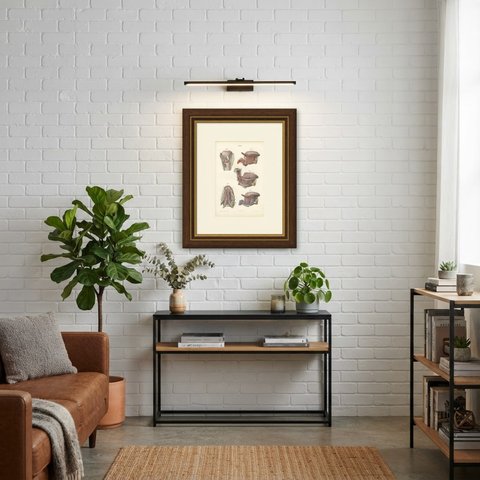 Vessels and Nerves of the Tongue, Antique Hirschfeld Anatomy Print, 1866, shown framed in a room