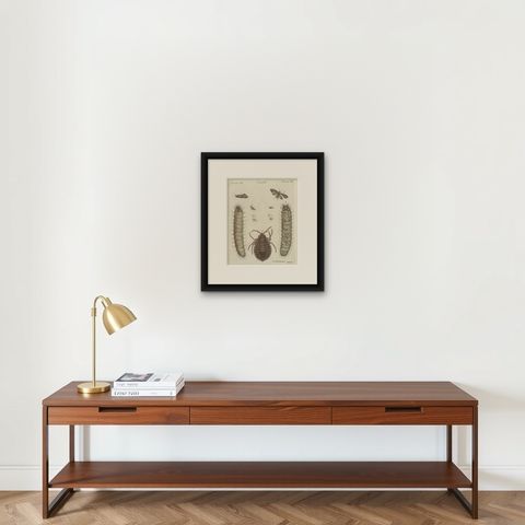 Magnified Insect Larvae and Small Moths, Antique Bertuch Print, circa 1805, shown framed on a wall