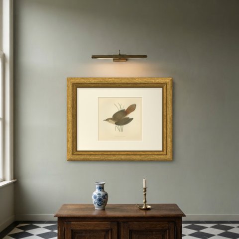 Rufous Warbler or Rufous Bush Robin, Hand Colored Bird Print, Morris, 1896, shown framed on a wall