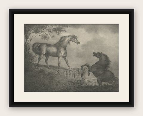 Original Antique Lithograph of a Horse Showing the Passion 'Courage', 1827, shown framed