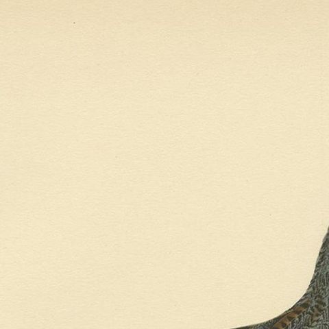 Antique Bird Print of the Western Capercaillie 'Male' by Von Wright, 1929, close-up 1