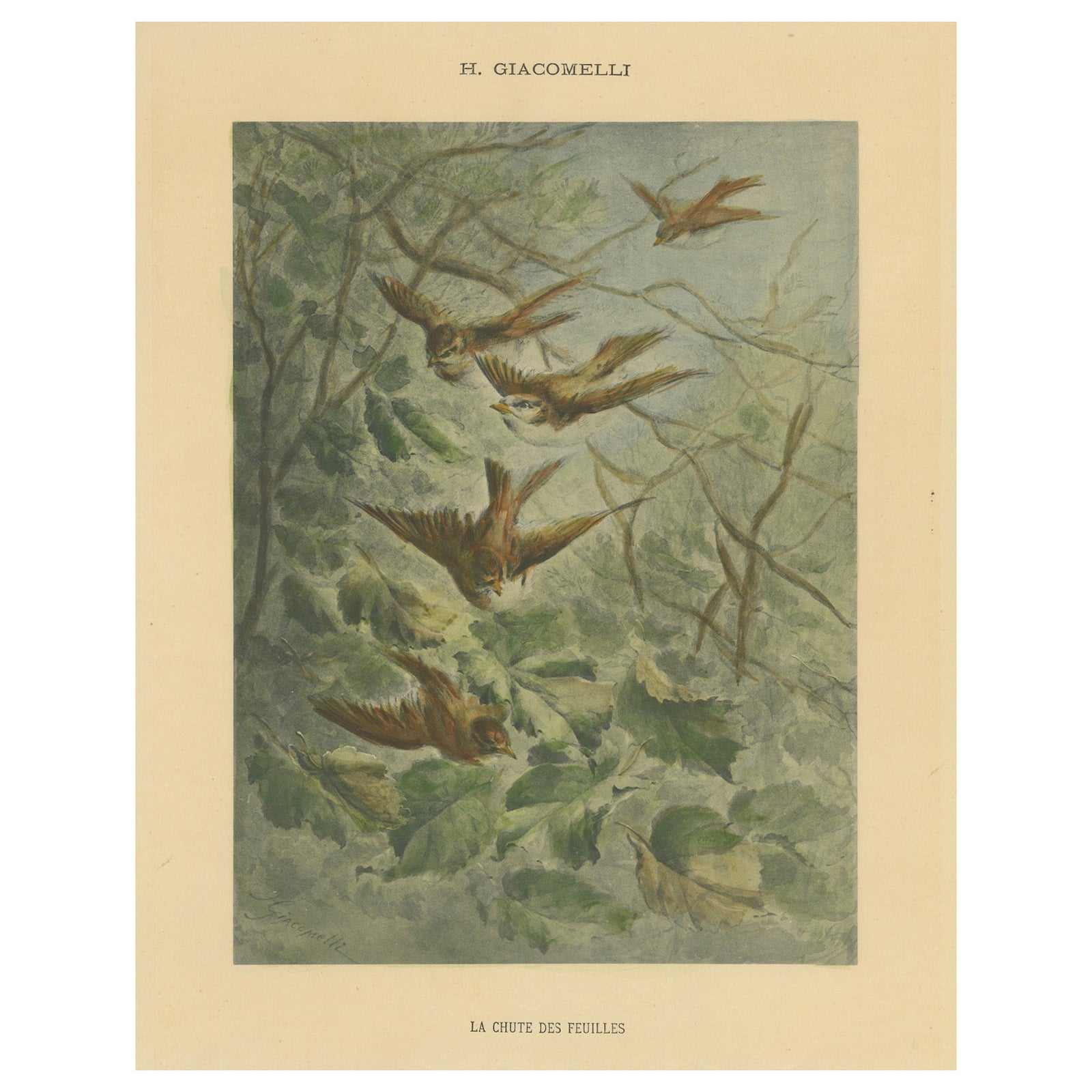 Autumn Flight - Giacomelli’s Sparrows in Falling Leaves, Circa 1891