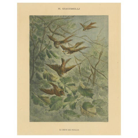 Autumn Flight - Giacomelli’s Sparrows in Falling Leaves, Circa 1891