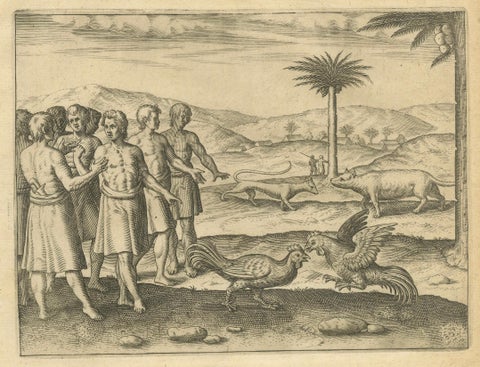 De Bry’s India and East Indies, Cockfights, Sacred Trees & Exotic Animals, 1598, close-up 1