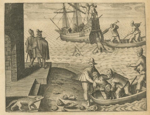 Exotic Encounters: Giant Crabs, Tortoises, Whales, and Cockfights - De Bry, 1598, close-up 1