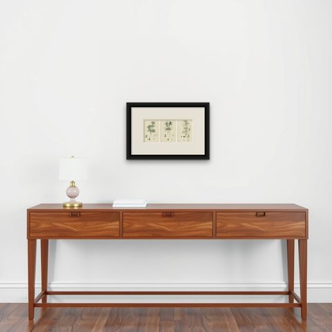 Botanical Engravings of Sea-Holly, Field Eryngo, and Water Hemlock, 1902, shown framed on a wall