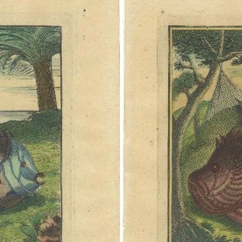 Set of 2 Colored Antique Prints of Various Fishes and Crustaceans, close-up 1