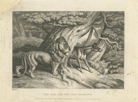 Original Antique Print of a Lion and Donkey hunting, view 3