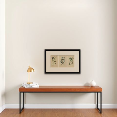 Wings and Wonders of the Garden, Rare Botanical and Butterfly Plates from 1775, shown framed on a wall