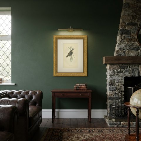 Sedge Warbler with Open Bill on a Sedge Stem, Antique Morris Plate, 1896, shown framed in a room