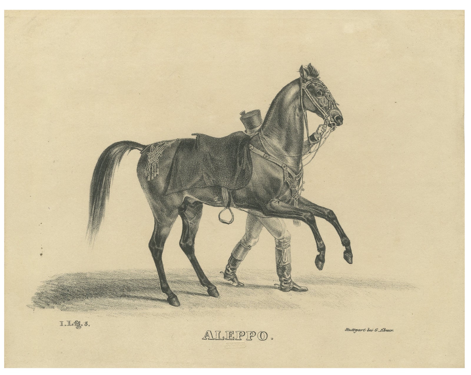 Antique Arabian Horse Lithograph “Aleppo” by August Jäger, 1846