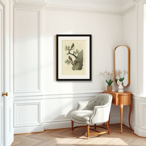 Antique Bird Print of Redstarts by Sepp & Nozeman, 1770, shown framed in a room