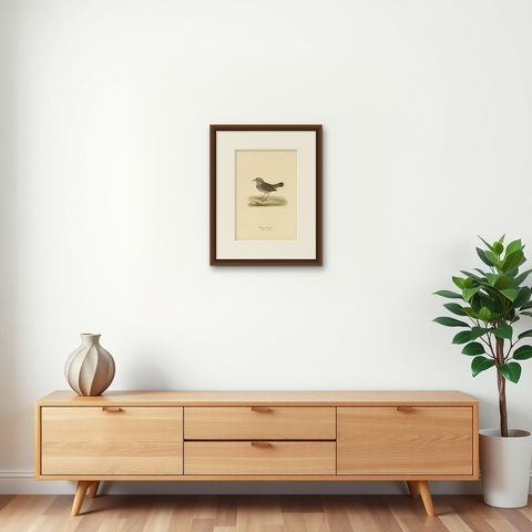 Antique Bird Print of the Bluethroat by Von Wright, 1927, shown framed on a wall