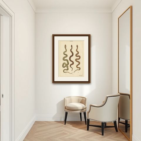Antique Print of Three Snakes, shown framed in a room