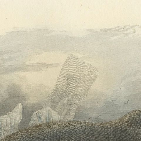 La Baleine Franche (Right Whale), Hand-Colored Engraving, 1840, close-up 5
