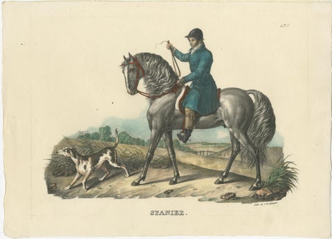 Antique Print of a Spanish Horse, view 2
