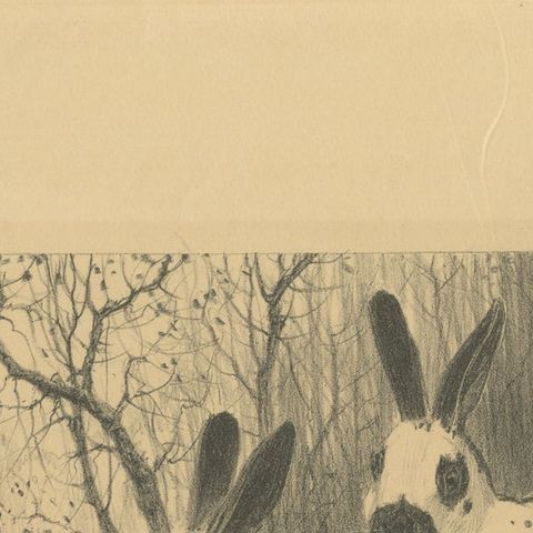 English Spot Rabbits, Wildlife Lithograph by Henri Verstijnen, c.1925, close-up 6