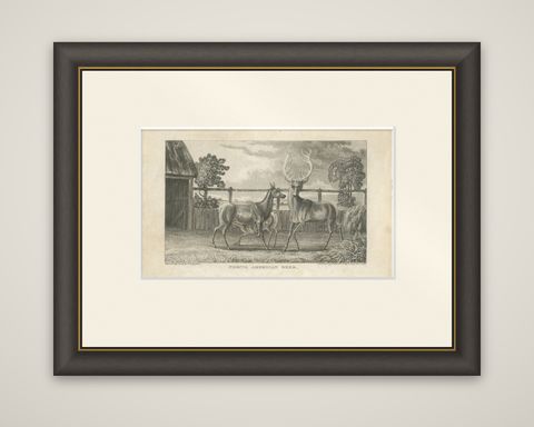 Antique Print of Deer by Egerton '1882', shown framed