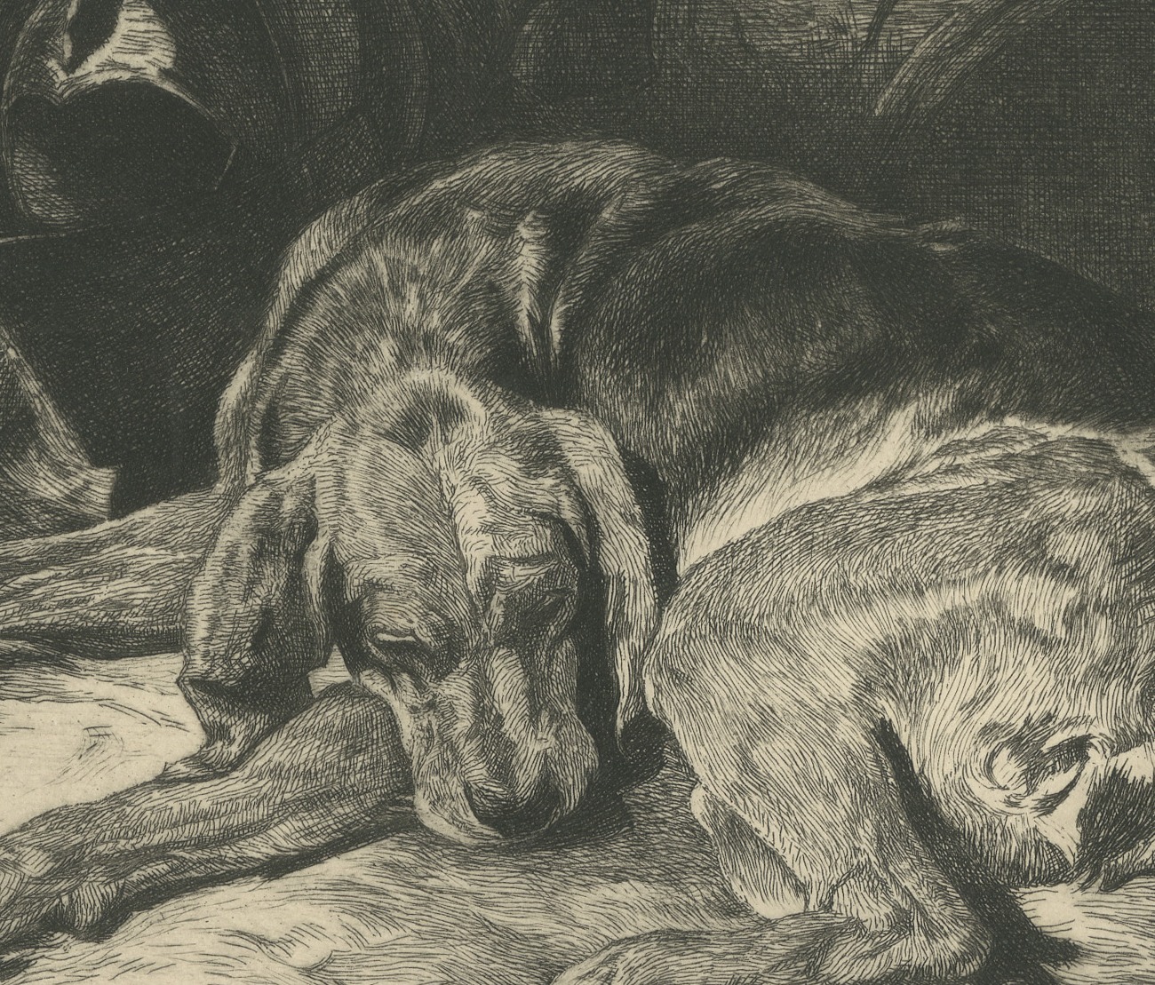 Sleeping Hound with a Plumed Helmet, Antique Etching by W. Wise, circa 1880, view 5