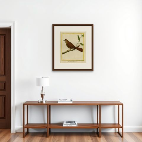 Original Hand-Colored Antique Bird Print of Tanager Bird, ca.1770, shown framed on a wall