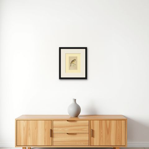 Antique Bird Print of a Cirl Bunting, shown framed on a wall