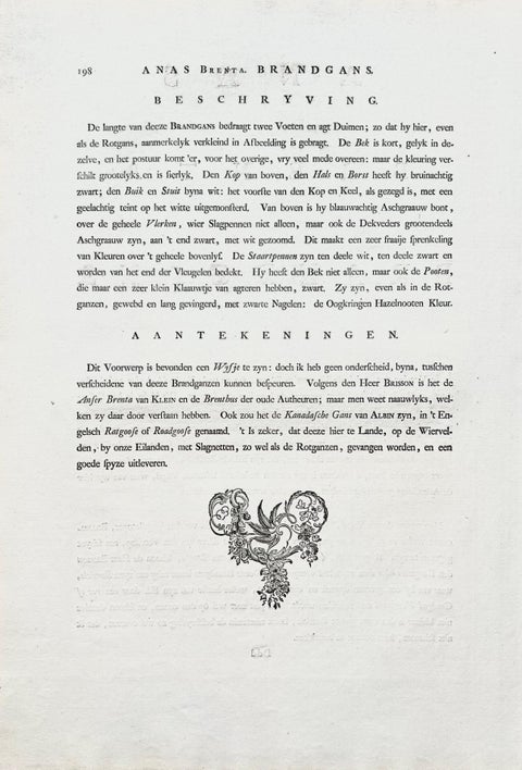 Anas, Brenta, Barnacle Goose from Nederlandsche Vogelen, 1797, view 11
