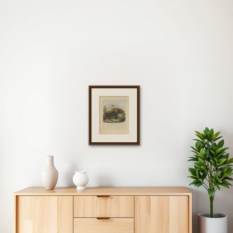 Antique Animal Print of a Hippopotamus or Hippo, shown framed on a wall