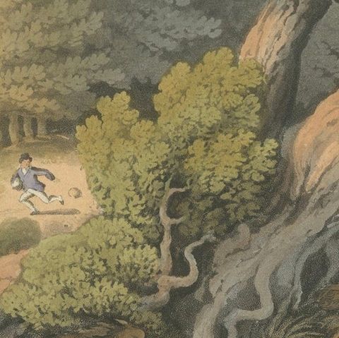 Hand-Coloured Aquatint 'American Anecdote Wolves & Boy', 1813, close-up 6