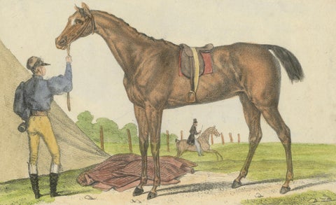 19th Century Hand-Colored Lithograph of Horse "Bergère" from Journal des Haras, close-up 2